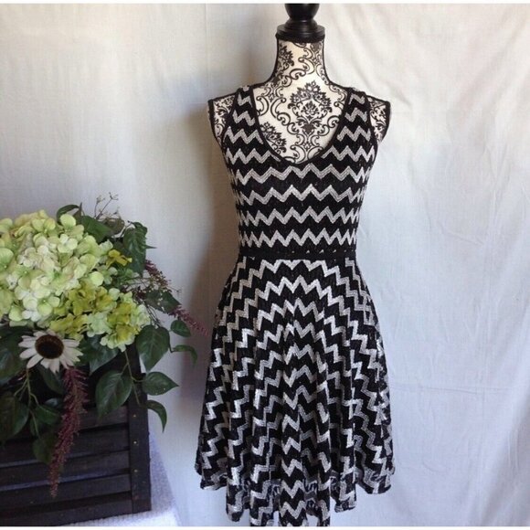 Studio Y Sz XS Black White Chevron Herringbone Lace Fit and Flare Dress Metallic - Picture 6 of 15